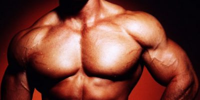 Chest Exercises