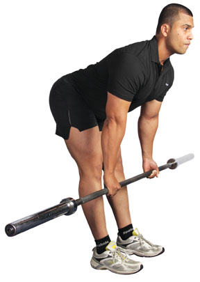stiff legged deadlift, deadlifts, dead lifts, how to deadlift