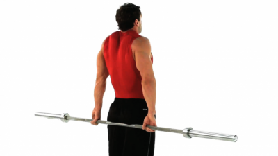 Trapezius Exercises