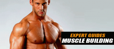Muscle Building Guide: The Best Tips For Building Muscle