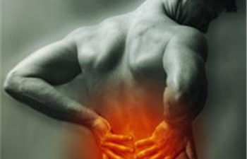 Workout Routines: Lower Back + Core Workout For A Pain Free Back
