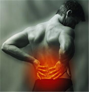 Workout Routines: Lower Back + Core Workout For A Pain Free Back