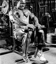 The Top 10 Calves Training Mistakes