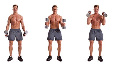 Biceps Exercise Instructions: How to Perform Biceps Hammer Curls