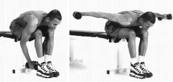 Shoulder Exercise Instructions: How to Perform Reverse Dumbbell Fly’s