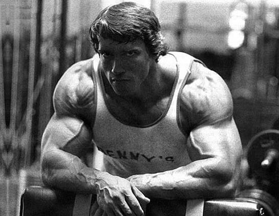 arnold schwarzenegger a collection of inspirational quotes to live