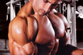 bodybuilding videos