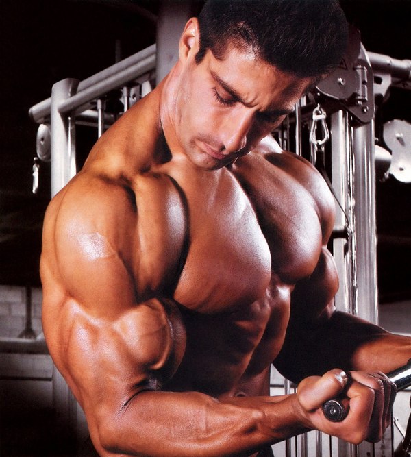 bodybuilding pictures