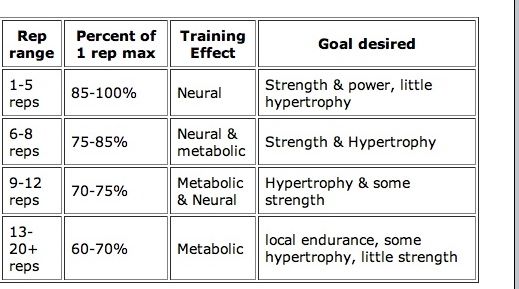 The truth about rep ranges and their role in muscle growth