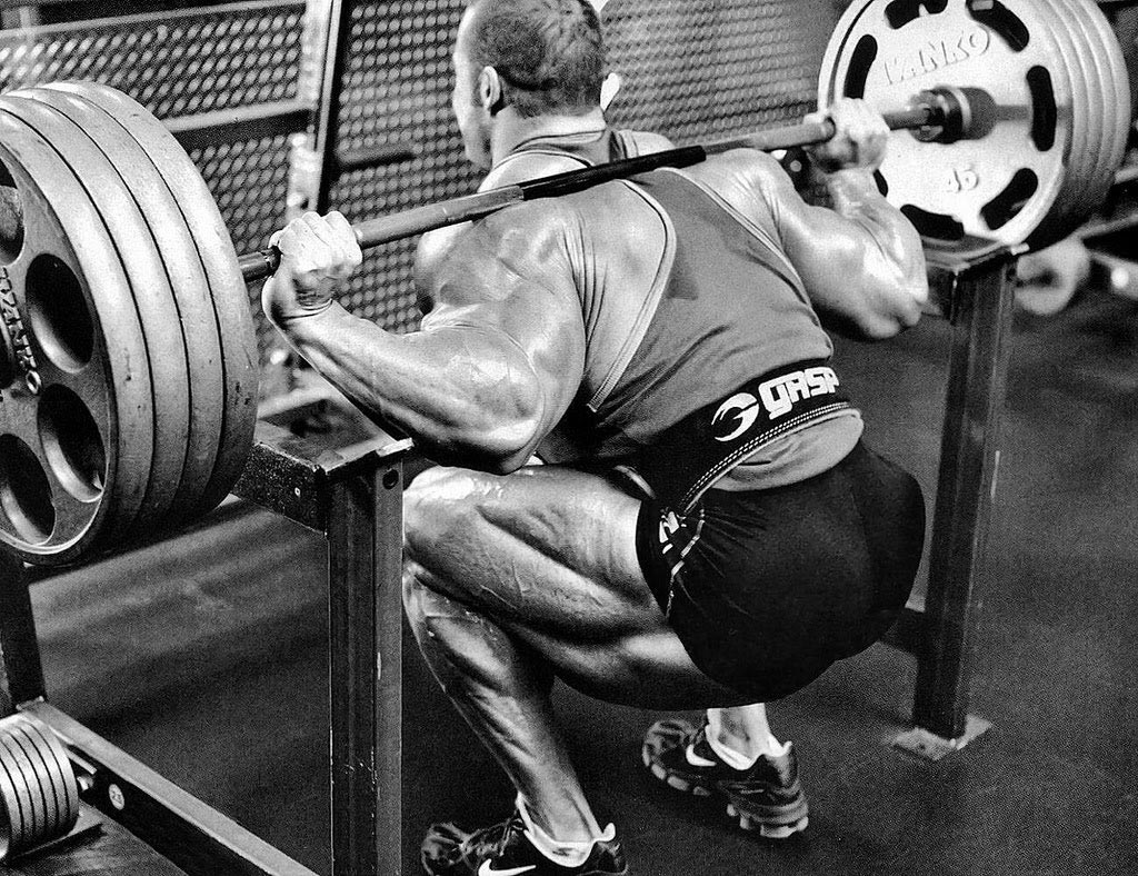 Muscle Building Q & A: 10 Fitness Industry Experts Are Interviewed