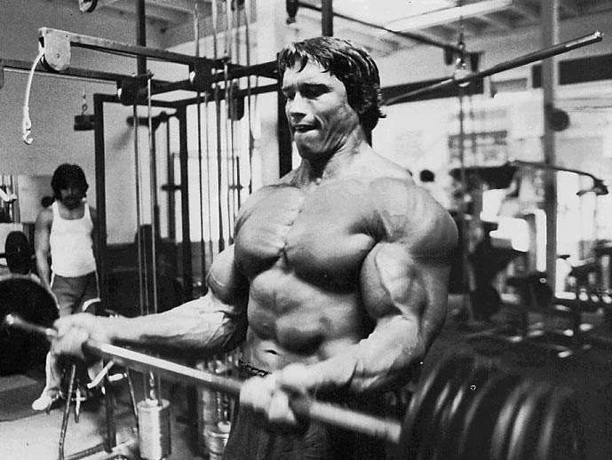 Arnold Schwarzenegger Bodybuilding Workout Galleries