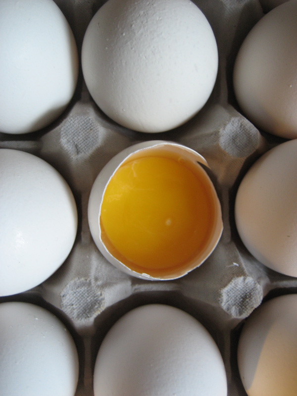 The Dynamism of Protein