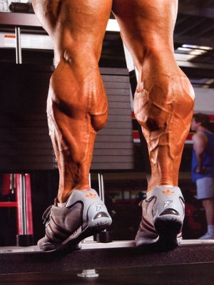 calf-training.jpg