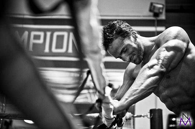 layne norton workout split