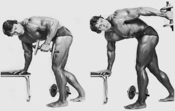 http://www.directlyfitness.com/wordpress/wp-content/uploads/2011/10/tricep-kickbacks.jpg