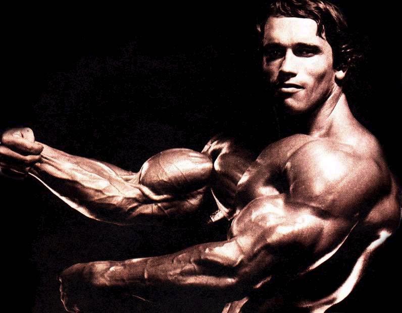 Arnold schwarzenegger naked body think, that Right! seems Arnold schwarzenegger naked body