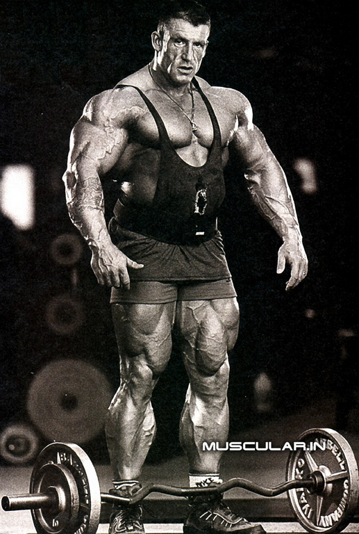 6 Video Workout Series: Dorian Yates' Blood & Guts Trainer 6 Video Workout Series: Dorian Yates' Blood & Guts Trainer