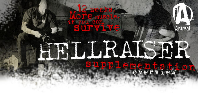 Hell raiser training hellraiser training, hrt training, hrt routine, hell raiser training, hell raiser video, hrt training video, ifbb pro mike van wyck, Mike Van Wyck training, Mike Van Wyck video