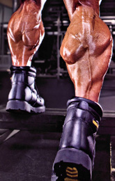 The Top 10 Calve Training Mistakes